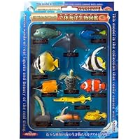 Amazon.co.jp: ザ・アクセス フィギュア 海月 立体図鑑 動物